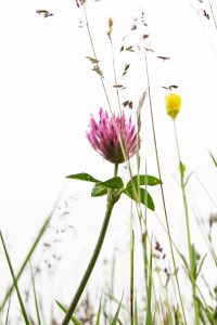 2019_06_08 Espagne-0020